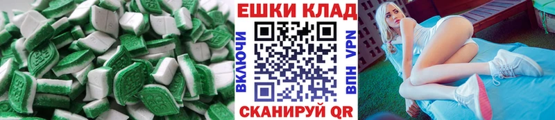 Купить  Елец  ЭКСТАЗИ Philipp Plein