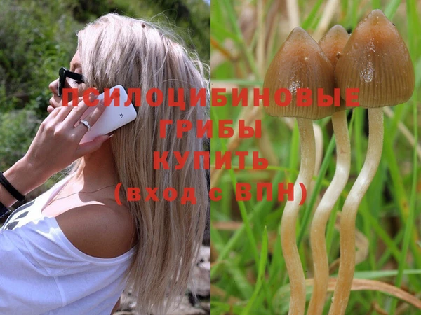 прущая мука Надым